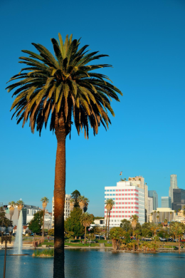 Los Angeles destination